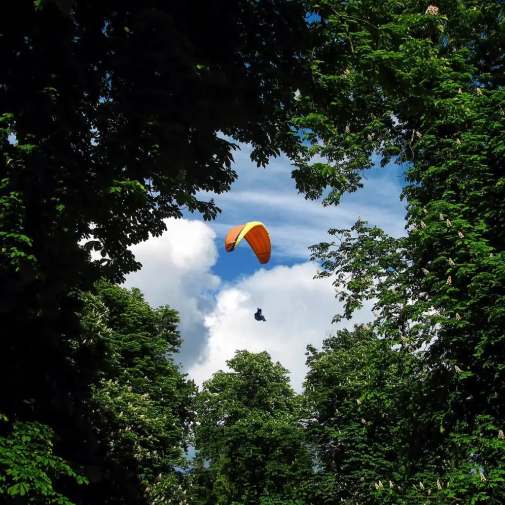 Vol en parapente au milieu d'un ciel bleu clair au-dessus de Chaudeyrolles, encadré par la cime des arbres verdoyants.