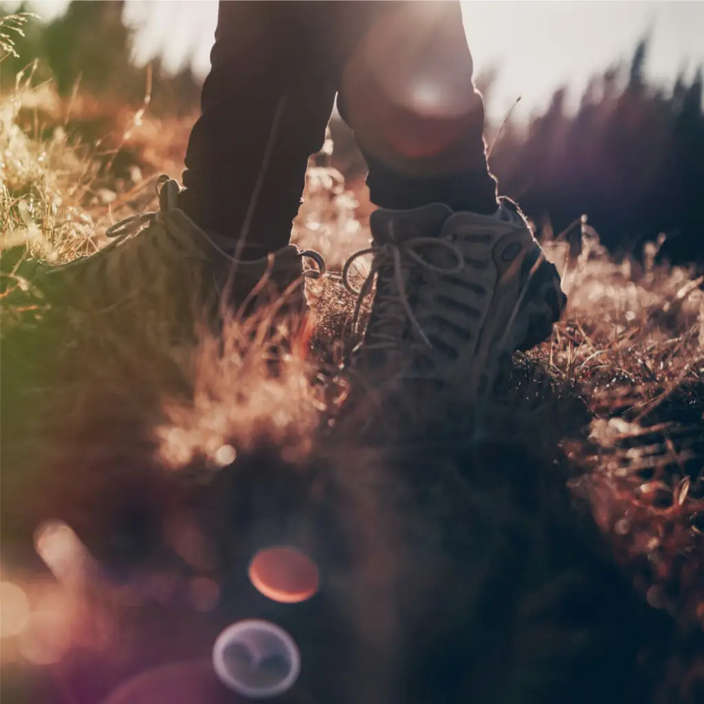 Randonneur en chaussures de randonnée debout au milieu des hautes herbes avec la lumière du soleil filtrant à travers.